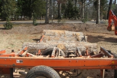 LynchCo, LLC Portable Sawmill & Custom Cut Lumber Services